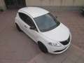 Lancia Ypsilon 1.2 69 CV 5 posti Elefantino Blu Bianco - thumbnail 5