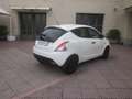 Lancia Ypsilon 1.2 69 CV 5 posti Elefantino Blu Bianco - thumbnail 6