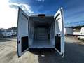 Fiat Ducato Kasten MY25 35 L3H2 2.0 Multijet 103kW (140 PS) 6- Wit - thumbnail 5