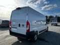 Fiat Ducato Kasten MY25 35 L3H2 2.0 Multijet 103kW (140 PS) 6- Wit - thumbnail 8