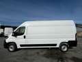 Fiat Ducato Kasten MY25 35 L3H2 2.0 Multijet 103kW (140 PS) 6- Wit - thumbnail 3