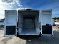 Fiat Ducato Kasten MY25 35 L3H2 2.0 Multijet 103kW (140 PS) 6- Wit - thumbnail 6