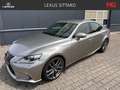 Lexus IS 300 300h F Sport Line, Mark Levinson, Dealer onderhoud Gris - thumbnail 1