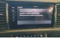 Skoda Kodiaq 2.0 TDI L & K L& K 4x4 7 Sitzer Automatik Leder Mavi - thumbnail 15