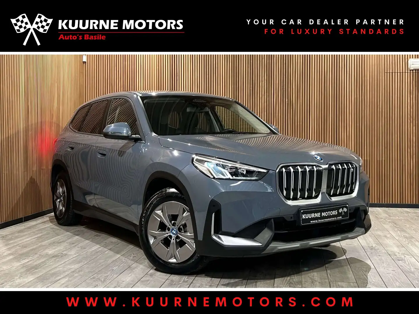 BMW iX1 xDrive30 Alu17\/Led/Cam/Gps/Leder/Bt *1j garantie* Gris - 1