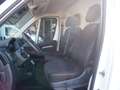 Fiat Ducato 2.2Di 140CV L2H2 15Q. EURO6D Bianco - thumbnail 10