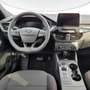 Ford Kuga 2.0 ecoblue ST-Line 2wd 120cv auto Bianco - thumbnail 9