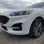 Ford Kuga 2.0 ecoblue ST-Line 2wd 120cv auto Bianco - thumbnail 6