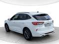 Ford Kuga 2.0 ecoblue ST-Line 2wd 120cv auto Bianco - thumbnail 3