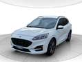 Ford Kuga 2.0 ecoblue ST-Line 2wd 120cv auto Bianco - thumbnail 1