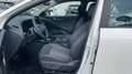Kia Niro 1.6 GDI HEV DRIVE 129 5P Blanco - thumbnail 11