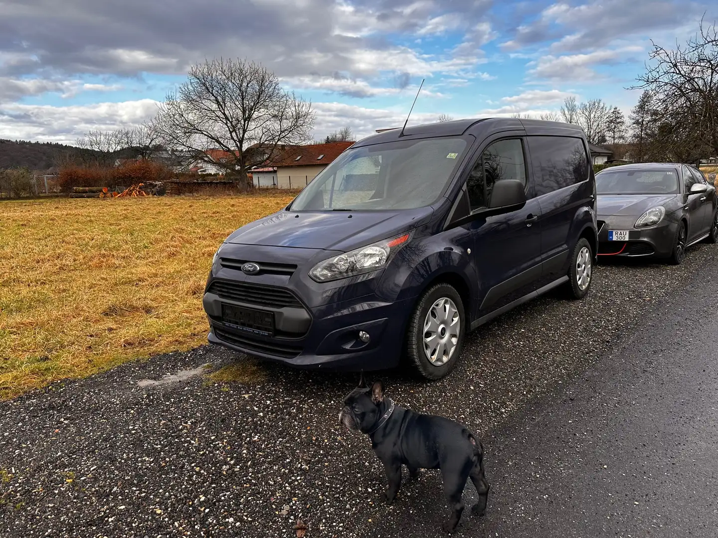 Ford Transit Connect 210 L2 S&S Trend Blau - 1