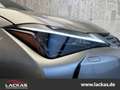 Lexus UX 250h STYLE*FWD*EDITION*FACELIFT*LED*CARPLAY*GARANTIE Silber - thumbnail 2