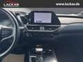 Lexus UX 250h STYLE*FWD*EDITION*FACELIFT*LED*CARPLAY*GARANTIE Silber - thumbnail 12