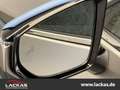 Lexus UX 250h STYLE*FWD*EDITION*FACELIFT*LED*CARPLAY*GARANTIE Silber - thumbnail 6