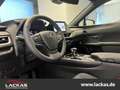 Lexus UX 250h STYLE*FWD*EDITION*FACELIFT*LED*CARPLAY*GARANTIE Silber - thumbnail 7