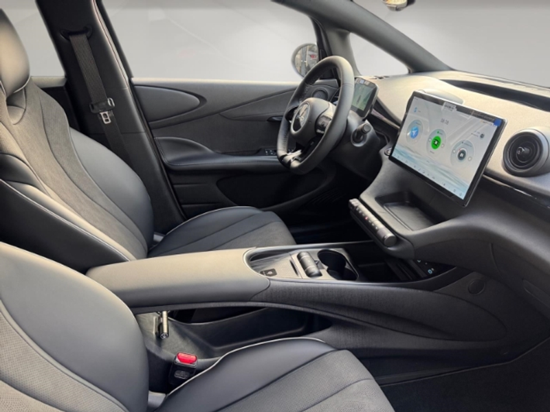 BYD Dolphin Design 360Kamera/Navi/Pano/Wärmepumpe — photo 12