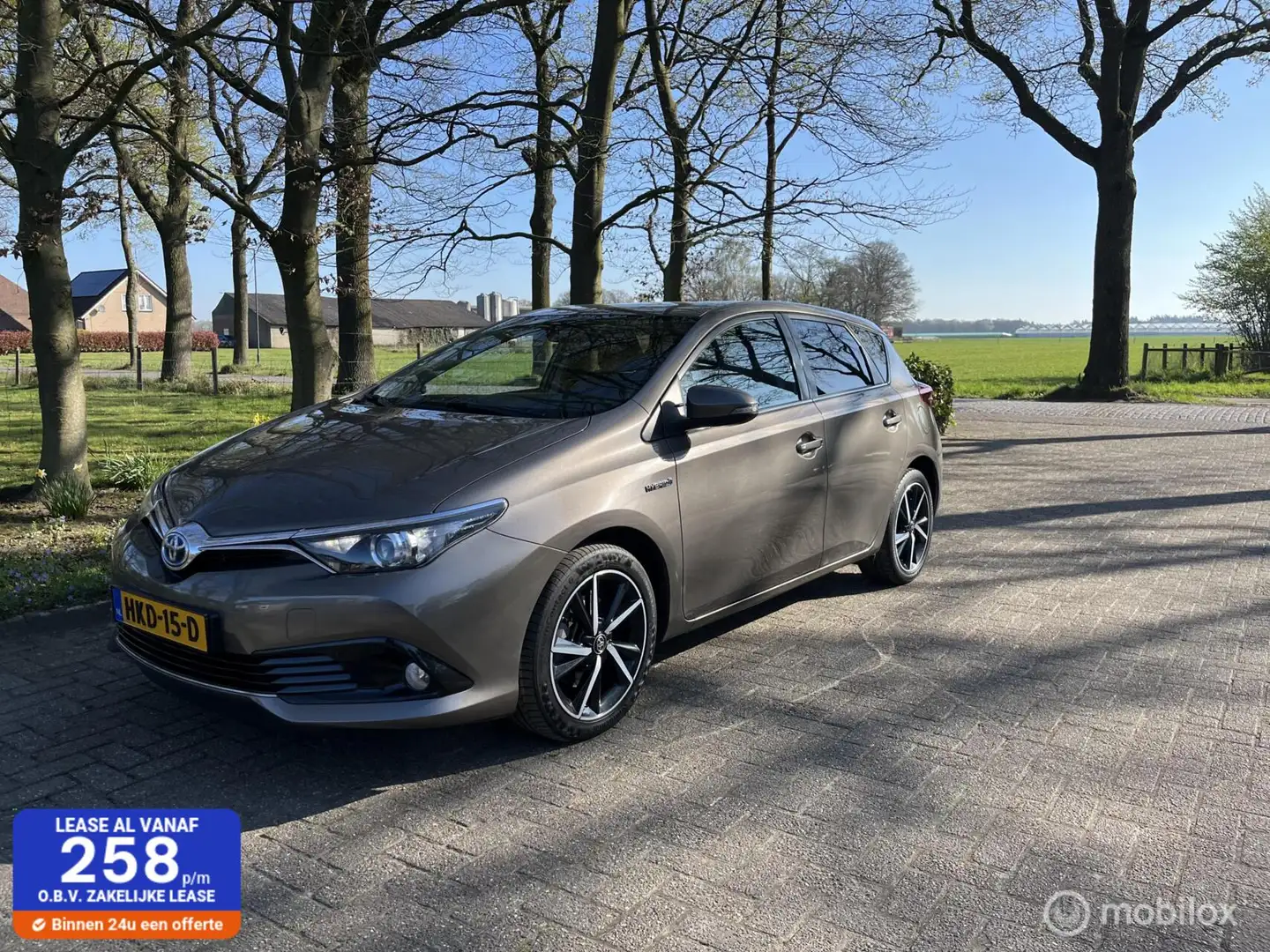 Toyota Auris 1.8 Hybrid Dynamic camera All in rijklaar Gris - 1