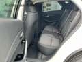 Mazda CX-30 2.5l Automatik Keyless LED HeadUP AC/AA Weiß - thumbnail 13