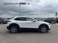 Mazda CX-30 2.5l Automatik Keyless LED HeadUP AC/AA Weiß - thumbnail 6