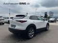 Mazda CX-30 2.5l Automatik Keyless LED HeadUP AC/AA Weiß - thumbnail 5