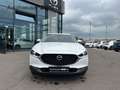 Mazda CX-30 2.5l Automatik Keyless LED HeadUP AC/AA Weiß - thumbnail 8