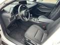 Mazda CX-30 2.5l Automatik Keyless LED HeadUP AC/AA Weiß - thumbnail 10