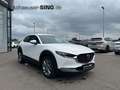 Mazda CX-30 2.5l Automatik Keyless LED HeadUP AC/AA Weiß - thumbnail 7