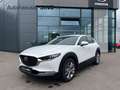 Mazda CX-30 2.5l Automatik Keyless LED HeadUP AC/AA Weiß - thumbnail 1