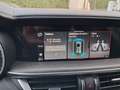 Alfa Romeo Stelvio Stelvio 2.2 Ti Q4 190cv - thumbnail 7