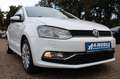 Volkswagen Polo V Allstar Sitzheizung PDC Euro6 Servotronic Weiß - thumbnail 22