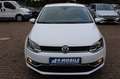 Volkswagen Polo V Allstar Sitzheizung PDC Euro6 Servotronic Weiß - thumbnail 7