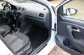 Volkswagen Polo V Allstar Sitzheizung PDC Euro6 Servotronic Weiß - thumbnail 39