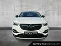 Opel Grandland Grandland X 1.2 Turbo Design Line (6d-TEMP) Navi Weiß - thumbnail 2