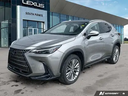 2024 Lexus NX 350 Luxury AWD