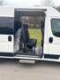 Citroen Jumper 33 L2H2 Live Blue-HDi 160 Weiß - thumbnail 4