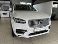 Volvo XC90 T8 Plus Bright Recharge AWD ACC HeadUp Pano Weiß - thumbnail 4