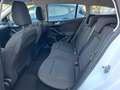 Ford Focus Titanium*LED*KAM*PDC*Navi*AppLink*DAB* Weiß - thumbnail 7