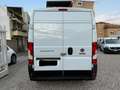 Fiat Ducato L3H2 2.3 MJT 140CV – Motore Nuovo Blanco - thumbnail 5