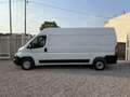 Fiat Ducato L3H2 2.3 MJT 140CV – Motore Nuovo Blanco - thumbnail 4