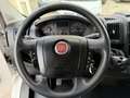 Fiat Ducato L3H2 2.3 MJT 140CV – Motore Nuovo Blanco - thumbnail 6