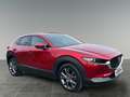 Mazda CX-30 CX-30 X186 AWD GT+ Rot - thumbnail 7