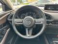Mazda CX-30 CX-30 X186 AWD GT+ Rot - thumbnail 11