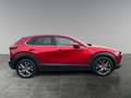 Mazda CX-30 CX-30 X186 AWD GT+ Rot - thumbnail 6