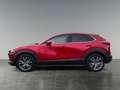 Mazda CX-30 CX-30 X186 AWD GT+ Rot - thumbnail 2