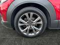Mazda CX-30 CX-30 X186 AWD GT+ Rot - thumbnail 15