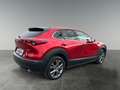 Mazda CX-30 CX-30 X186 AWD GT+ Rot - thumbnail 5