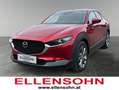 Mazda CX-30 CX-30 X186 AWD GT+ Rot - thumbnail 1
