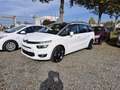 Citroen C4 Picasso BlueHDi 150 Business Class  Automatik AHK Weiß - thumbnail 12