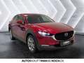 Mazda CX-30 2.5 e-SKYACTIV G Exclusive  AT Navi ACC LED Rot - thumbnail 6